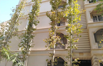 فرمانیه غربی ساطعی 267متر 4خواب